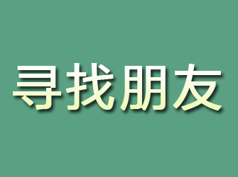 新野寻找朋友